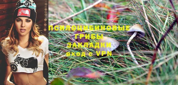 прущая мука Бородино