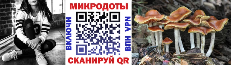 Псилоцибиновые грибы MAGIC MUSHROOMS  Короча 